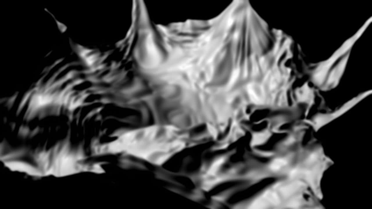 Movimento fluido astratto con forme organiche bianche e nere.