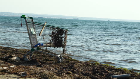 Verlassener-Einkaufswagen-Am-Strand