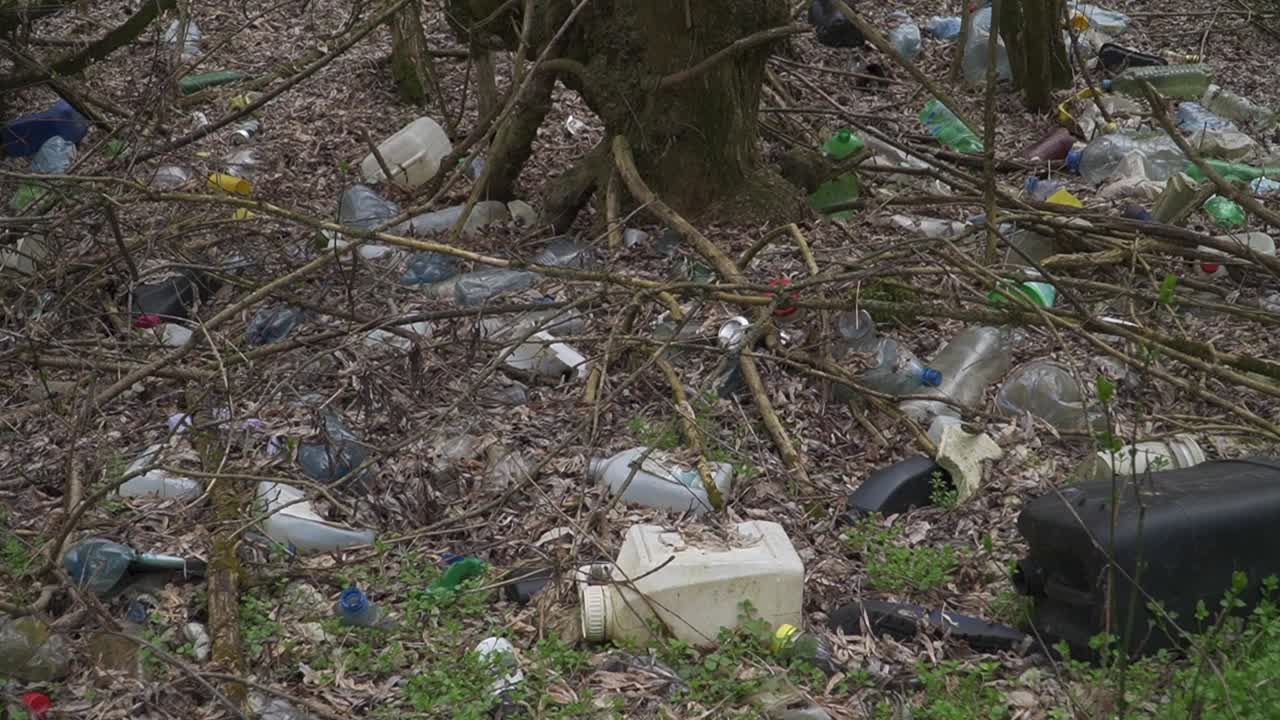A disturbing view of plastic waste littering a forest floor. Ideal for environmental awareness, climate crisis, or conservation campaigns