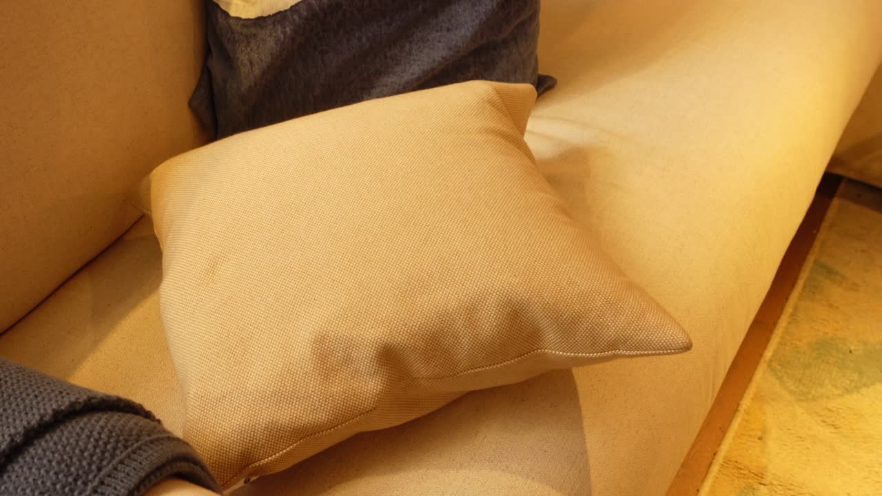 Beige Pillow on a Light Beige Couch