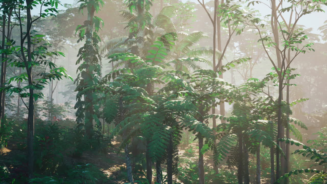 아름답고 활기찬 정글 장면으로 나무들을 가로질러 빛이 흐르고 있습니다.