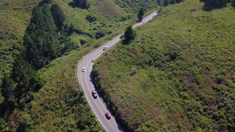 Curved-road-surrounded-by-forest-green-trees-cars