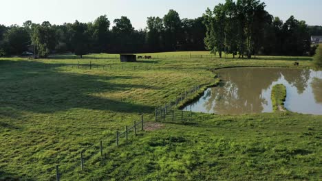 flyover of a pasture with horses