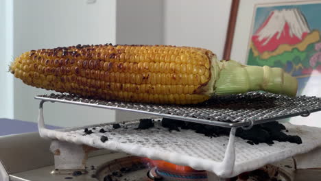 a japanese female chef grills corn at her home kitchen, tokyo, japan