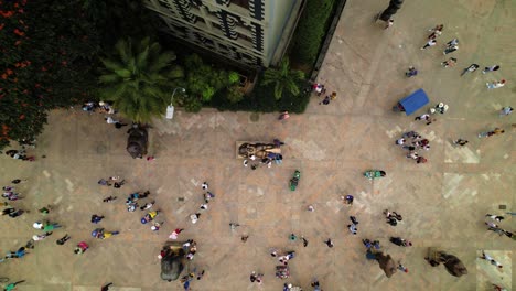 Residents-and-tourists-passing-by-statues-and-under-green-trees-in-the-city-of-Medellin-in-Colombia