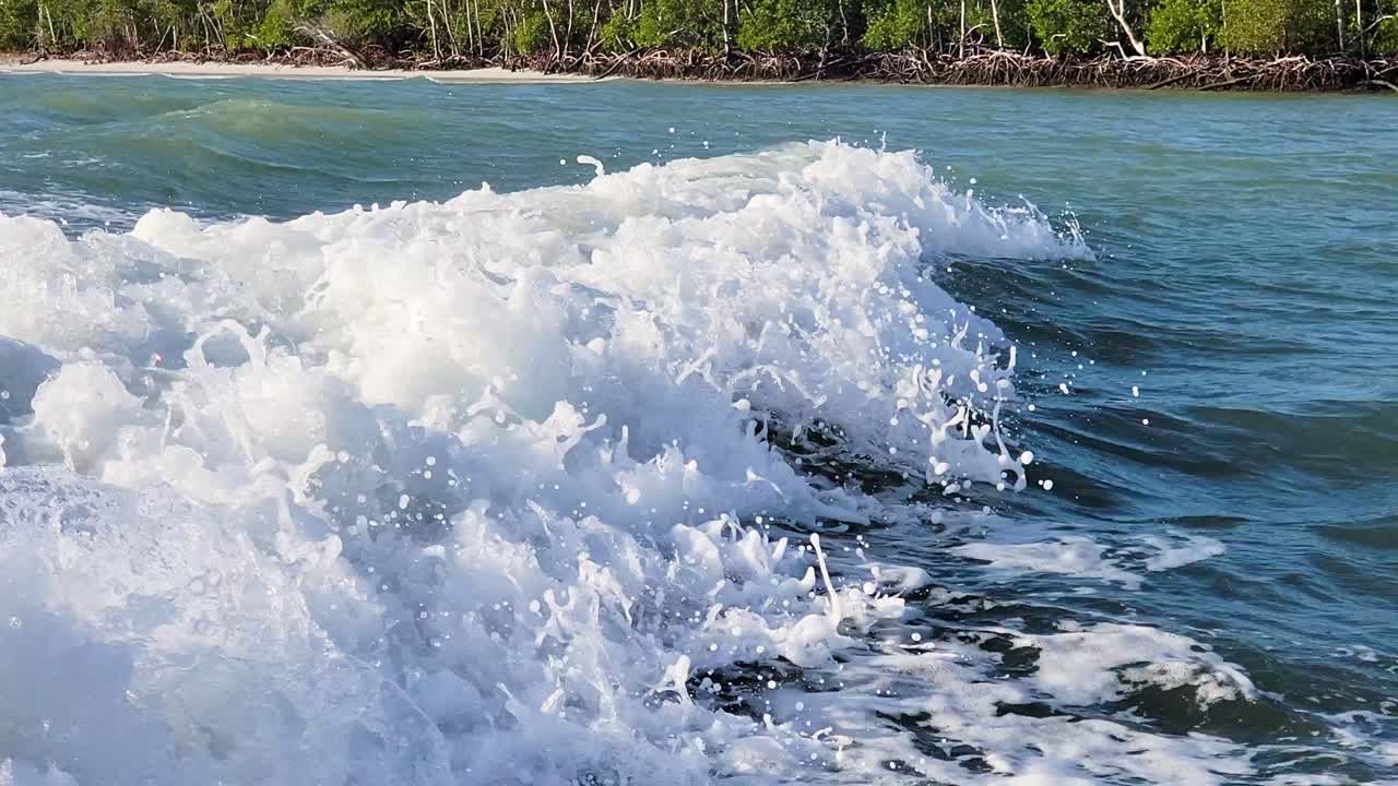 돌고래는 바다에서 엔진의 파도를 따라 헤엄치고 따라가면서 모터보트 뒤에서 가까이 뛰어오릅니다.