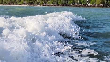 dolphins jumping close behind motor boat as they swim and follow the waves from the engine in the ocean