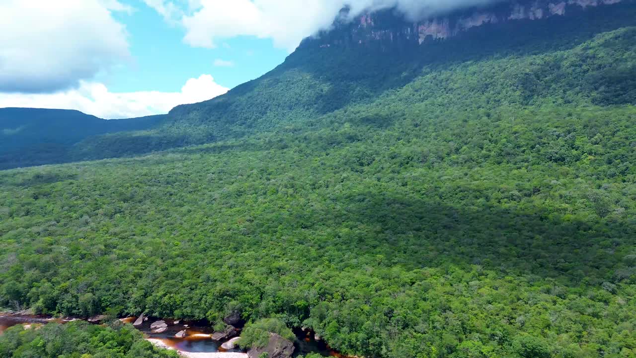 magnífica vista de la imponente jungla y el auyán-tepui en canaima