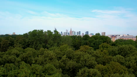 aerial panorama view of green forest in suburb