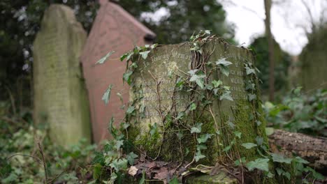 gravestones covered in moss in a forest graveyard on a cloudy day