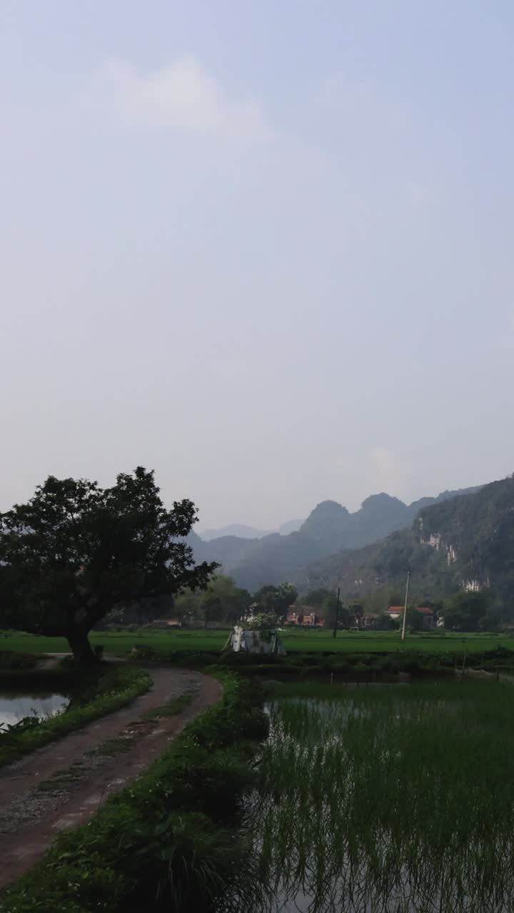 울창한 초록색 과 산의 타임스