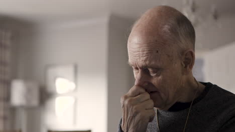 retrato de un hombre anciano