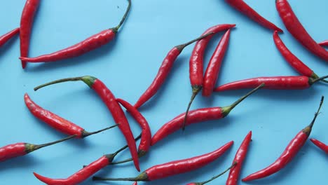 red chili peppers on blue background