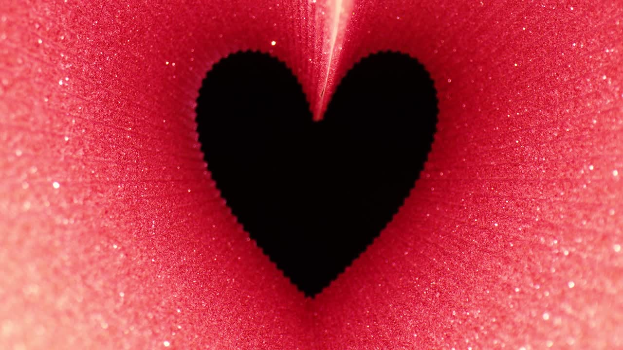 분홍색 반이는 심장 모양 프레임 검은 바탕에 움직임, 발렌타인 데이 컨셉