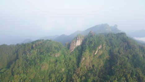 orbit drone shot of green forest trees growing on mountain range in slightly foggy weather in the morning - indonesia,asia