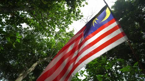 malaysia flag wave in green forest