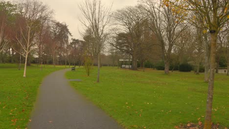 fall trees along pathway at national botanic gardens in dublin, ireland