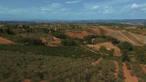 Drone-Aéreo-De-Campo-De-Olivos-En-Val-D&#39