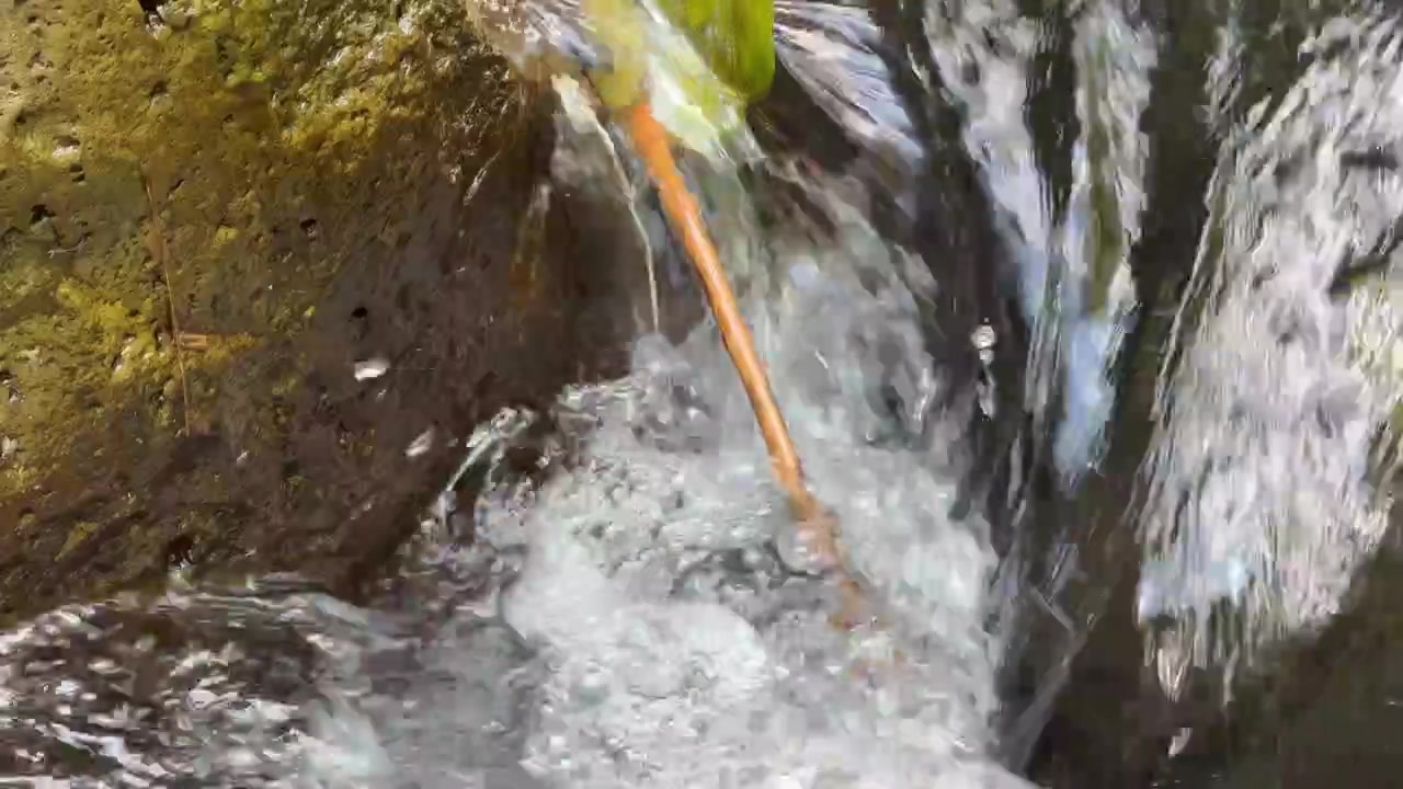 Acqua limpida che scorre su rocce muschiose in un ruscello nel bosco.