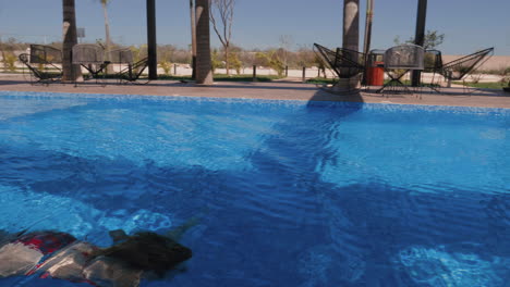 woman swimming underwater in a luxury pool
