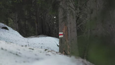 Vista-De-Un-Cartel-De-Senderismo-En-Un-Bosque-Nevado