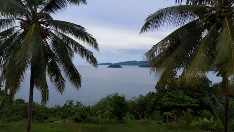 Tropical-Paradise:-A-stunning-reverse-aerial-vertical-drone-flight-between-two-palm-trees-on-Phuket-Island-in-4K