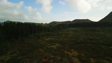 Aerial view from drone of Terceira Island - Green fields