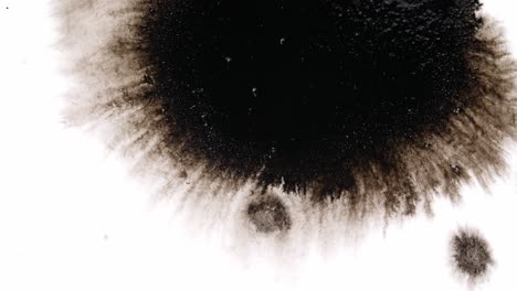 black ink drops on white background