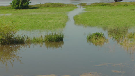 Escena-Y-Vista-Del-Paisaje-Inundado-Cerca-Del-Río-Principal-En-Los-Países-Bajos,-Europa