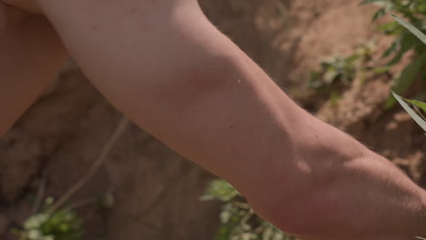 close view of male right arm muscle contracting during push up on grassy slope beside river under sunlight with skin showing red patches and veins as tactical glove grips rugged soil