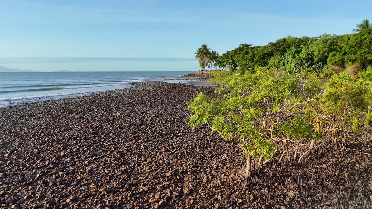 Drone captures serene mangrove coastline with lush greenery and calm waters in Port Douglas, Australia