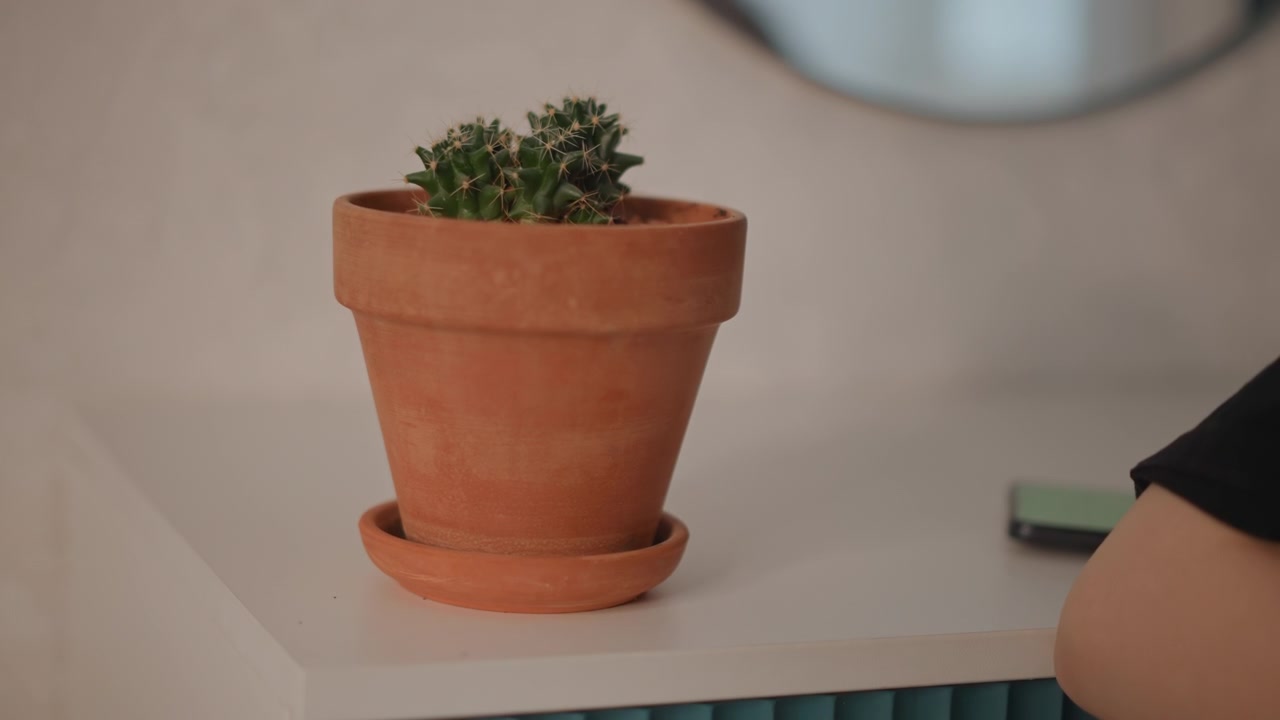 赤陶花盆裡的小型多肉植物放置在角落旁的白色桌面，展現簡潔的室內裝飾、柔和的自然光線、輕微的陰影、柔和的米色調和簡約現代的構圖。
