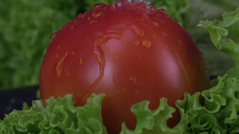 water droplets bead off of a juicy tomato in slow motion