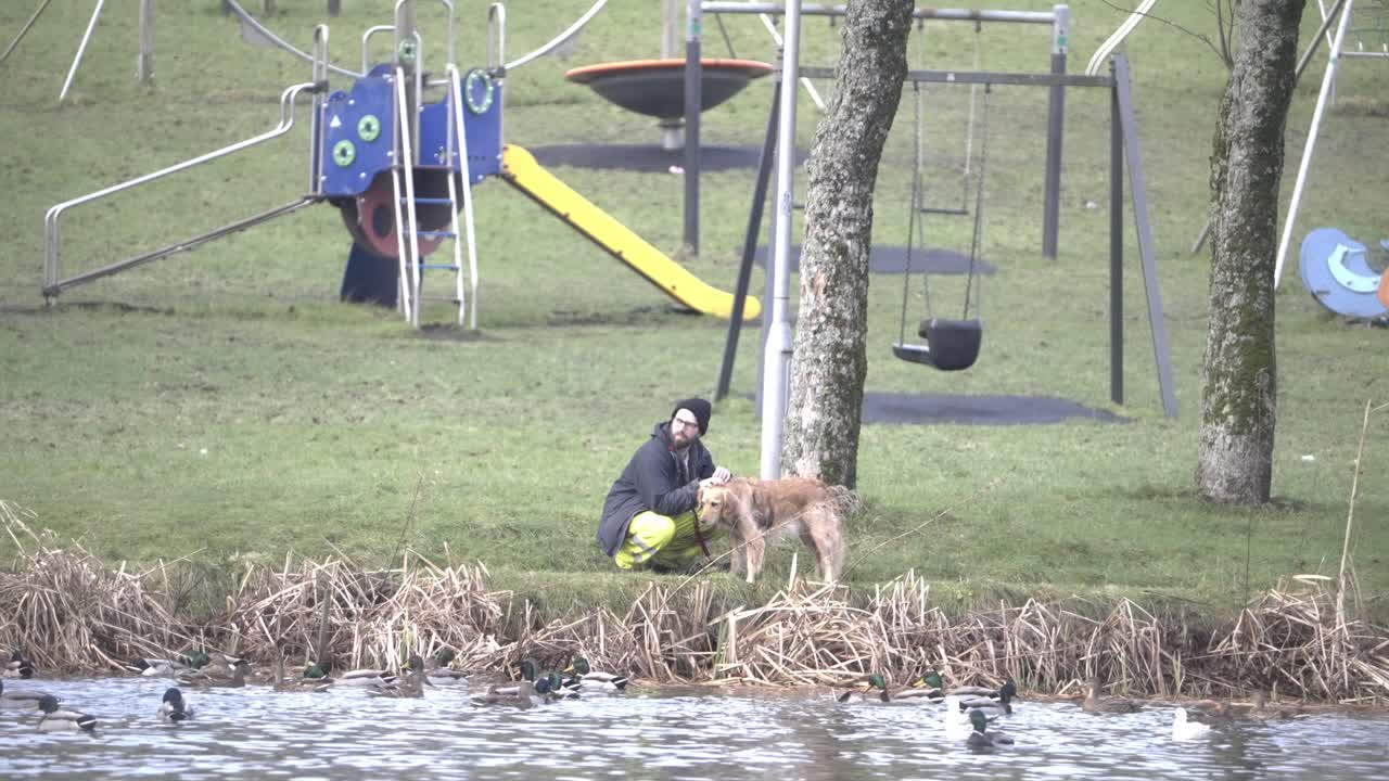 Local park swing equipment, dog owner petting companion, slow motion
