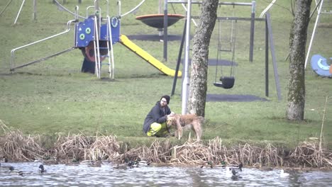 local park swing equipment, dog owner petting companion, slow motion