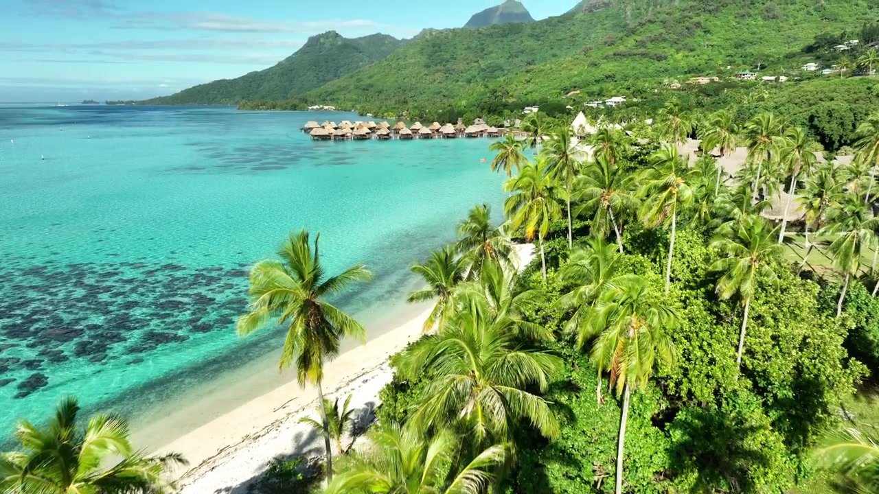 Palm trees, turquoise water, resort homes on tropical Temae Beach, Moorea, French Polynesia.