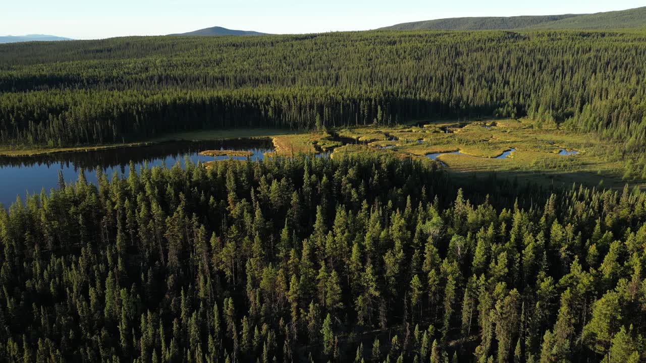 Lento volo aereo sopra foreste incontaminate, laghi e muskeg nello Yukon, Canada. La luce del mattino rivela canali d'acqua, aree forestali aperte, cielo azzurro e un paesaggio naturale tranquillo