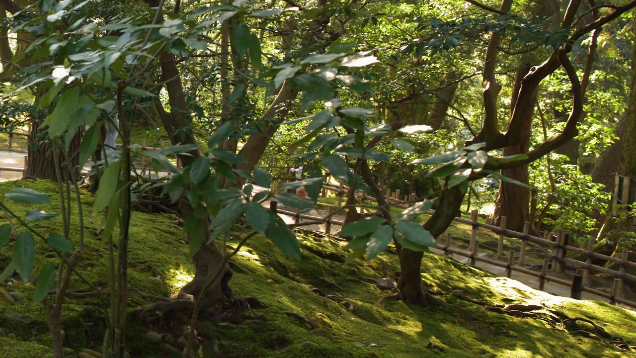 Personas caminando por un sendero en un exuberante jardín forestal verde