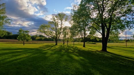 Orchard-meadow-in-summer-with-apple-tree-and-sunlight,-dolly-forward