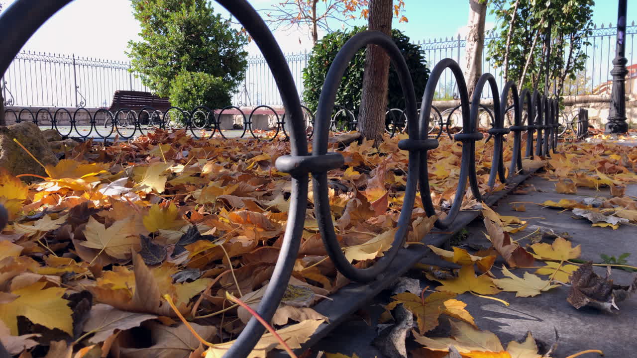 великолепные осенние краски