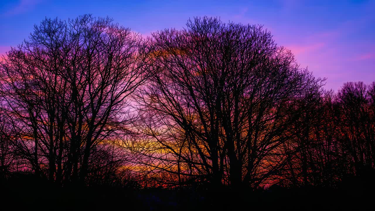 Synkende sol som flytter himmelen over parken, og viser rosa oransje bånd ved to løvtrær