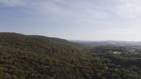 Endless-clear-skies-on-a-forested-valley