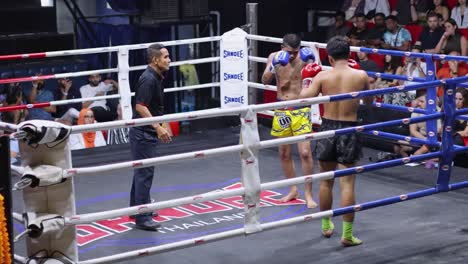 intense kickboxing match with engaged audience