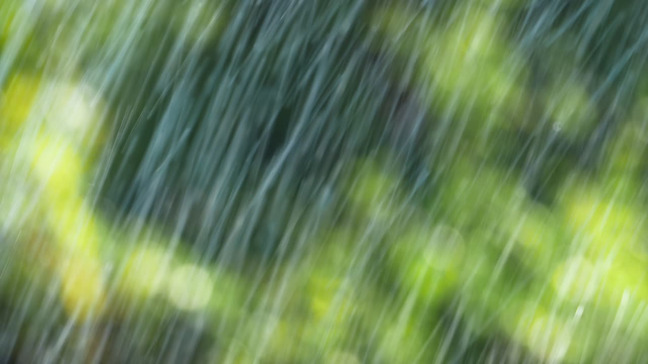 Experience serene beauty of nature through blurred foliage and vibrant bokeh