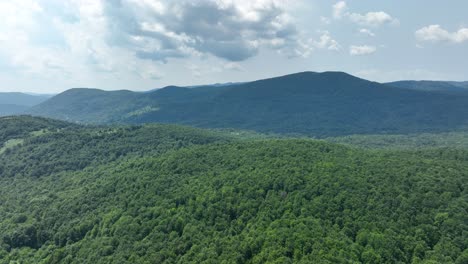 mountainous forest landscape