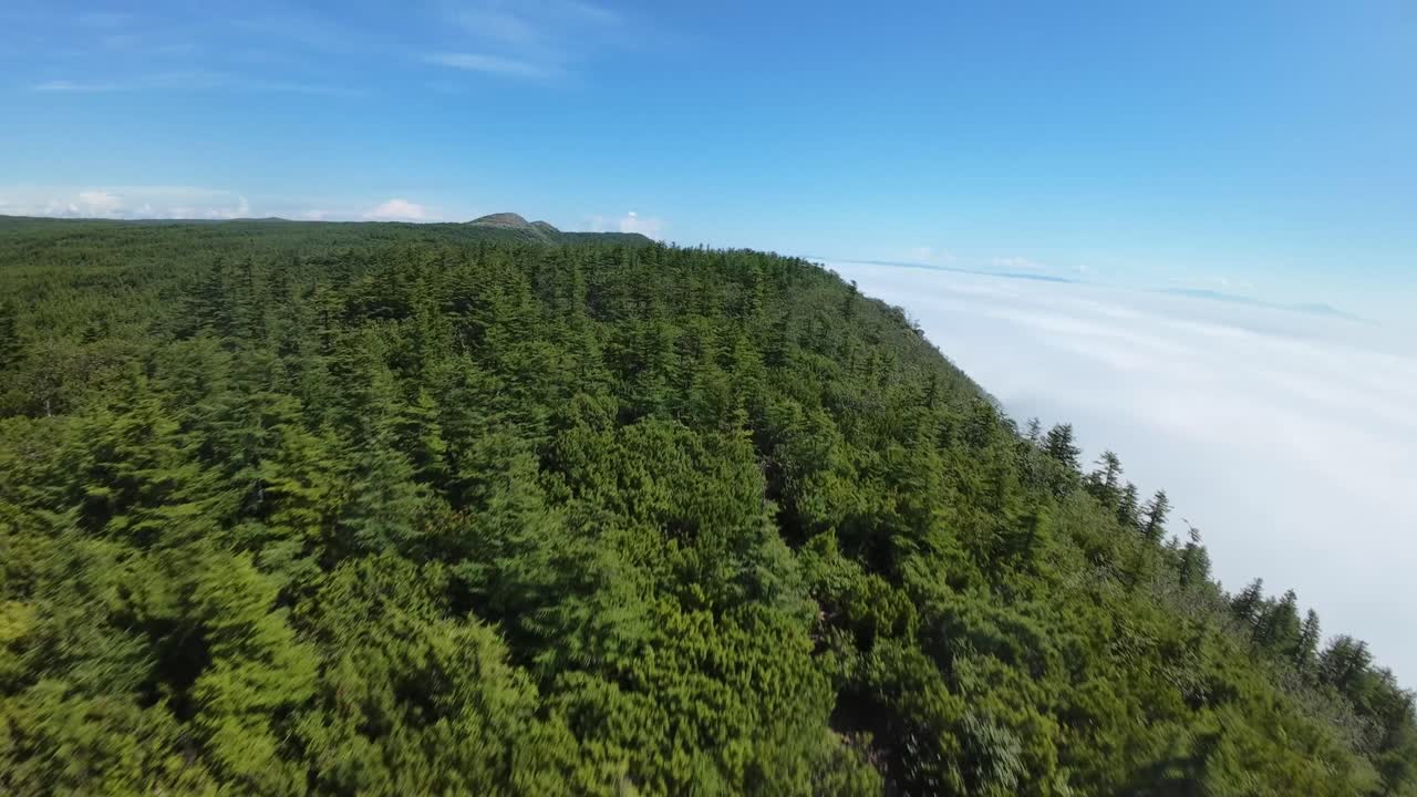 Experience stunning drone views of lush forests and serene hilltops blanketed in morning mist