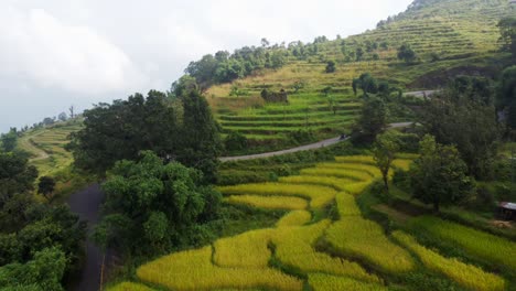 La-Motocicleta-Circula-Por-Caminos-Sinuosos-A-Través-De-Campos-De-Terrazas-De-Nepal.