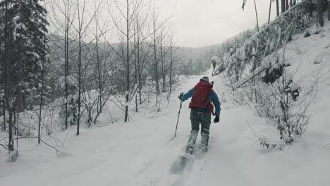 在加拿大溫哥華島的阿爾德森林中穿過雪鞋