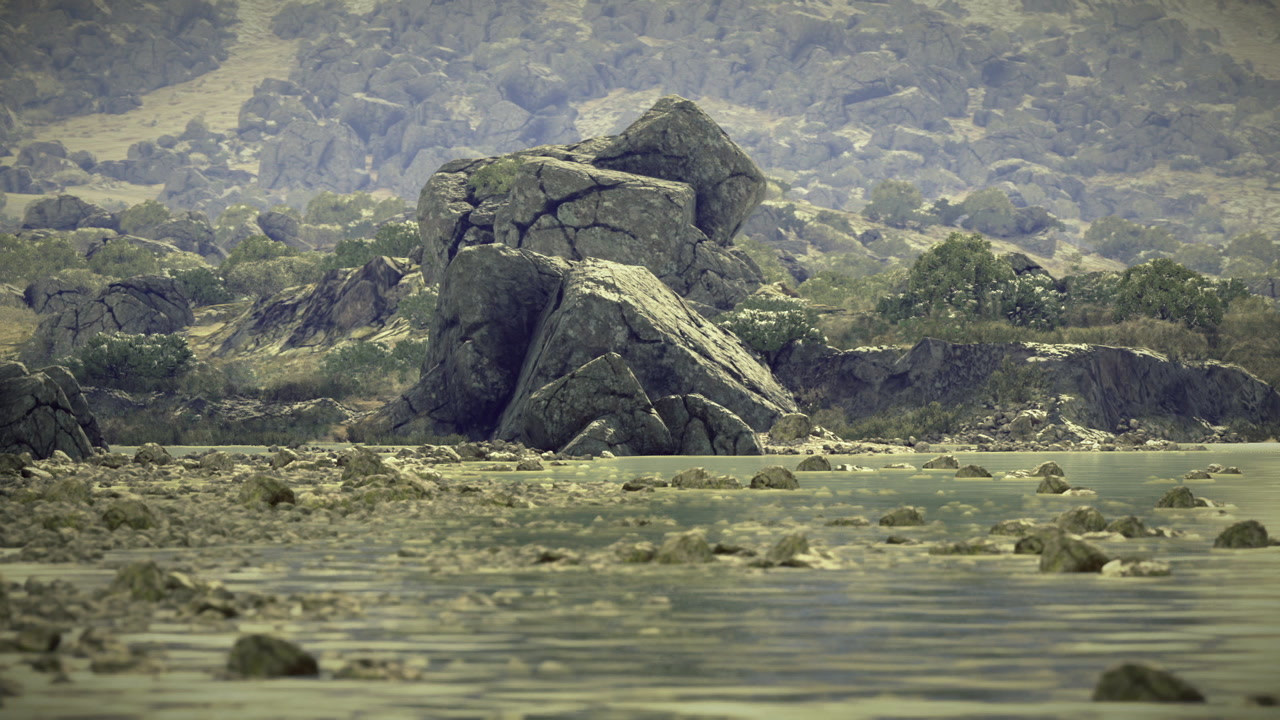 Textured rocky shore capturing coastal geological details vividly