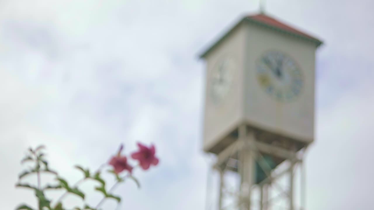 몬테 크리스티의 시계 타워와 꽃이 피는 꽃의 아래  ⁇ , 초점 변경